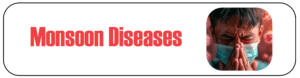 Monsoon Diseases